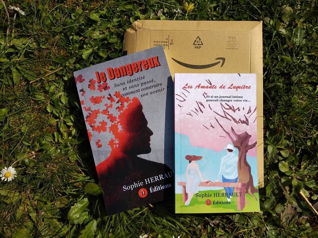 Romans de Sophie Herrault disponible à la vente sur Amazon : Je dangereux & Les amants de lumière