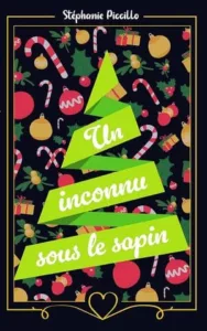 Un inconnu sous le sapin (Stéphanie PICCILLO)