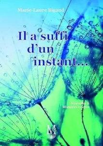 Il a suffit d'un instant (Marie-Laure BIGAND)